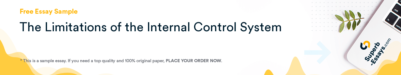 Free «The Limitations of the Internal Control System» Essay Sample