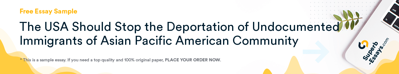 Free «The USA Should Stop the Deportation of Undocumented Immigrants of Asian Pacific American Community» Essay Sample